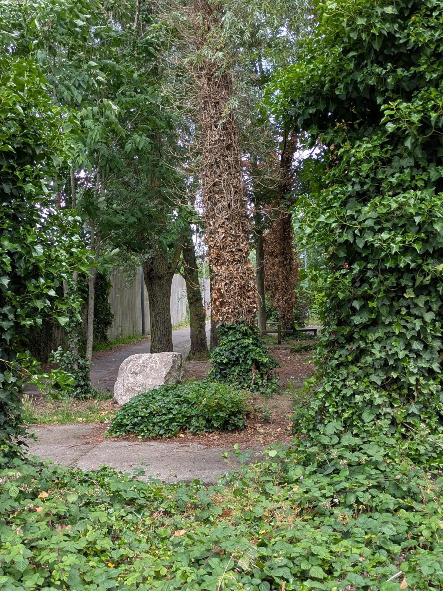 Maisonlille Lille